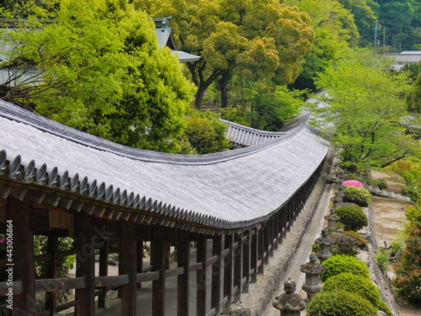 Fototapeta 吉備津神社