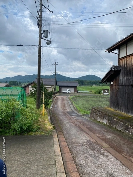 Obraz railway in the mountains