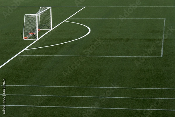 Obraz soccer field