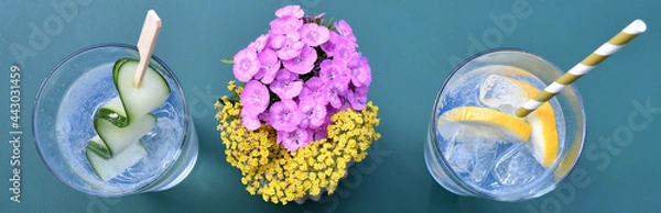 Obraz Gin Tonic Sommerdrink