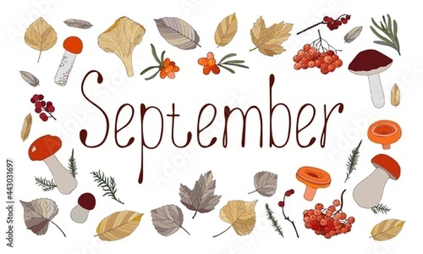 Fototapeta The word for the month of September written by hands and mushrooms, berries and leaves. Seasonal autumn illustration. Vector isolated on white background.