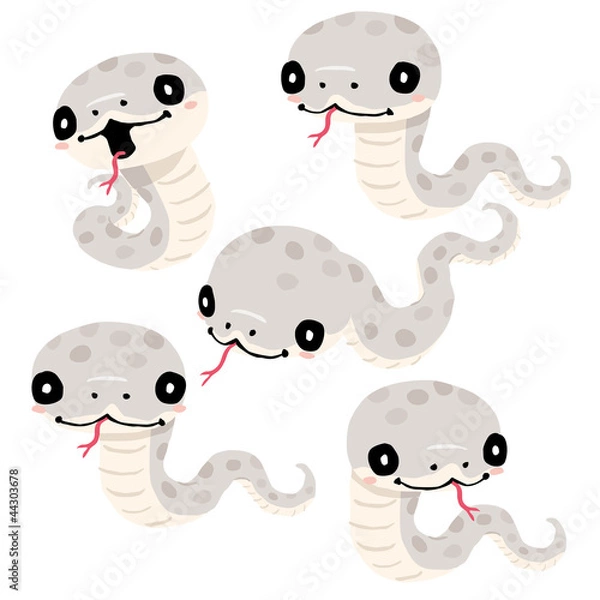 Obraz snake