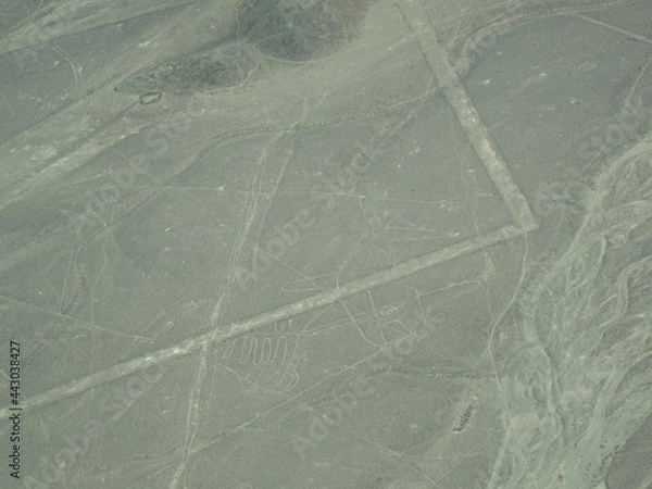 Fototapeta [Peru] The whale geoglyph, Lines and Geoglyphs of Nasca (Nazca)