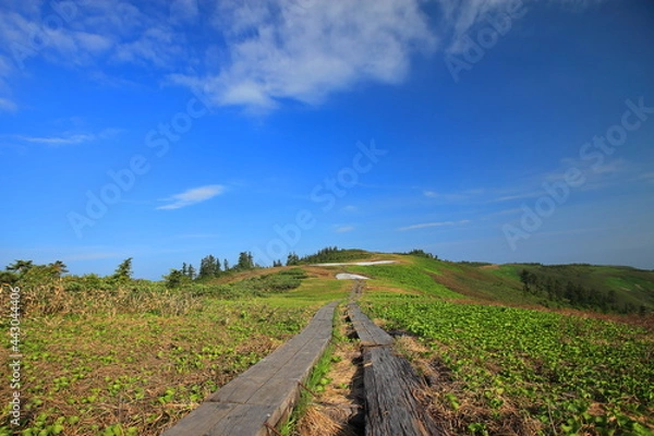 Obraz Mt.Aizukomagatake in summer 夏の会津駒ケ岳トレッキング