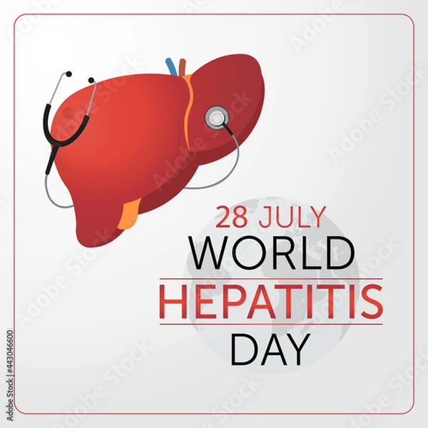 Fototapeta World hepatitis day design. Liver design with stethoscope. Vector illustration.