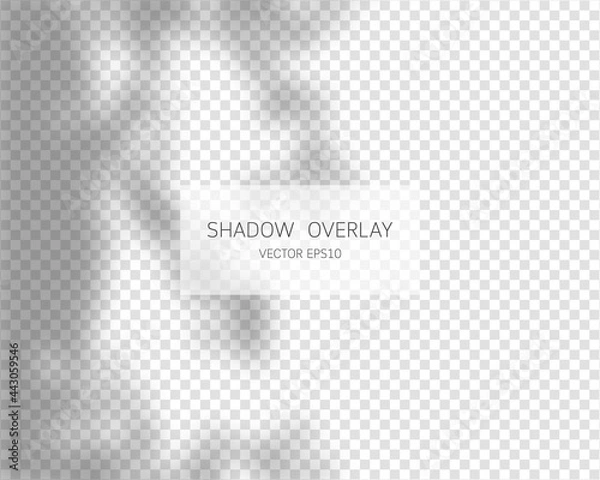 Fototapeta Shadow overlay effect. Natural shadows isolated on transparent background. Vector illustration. 