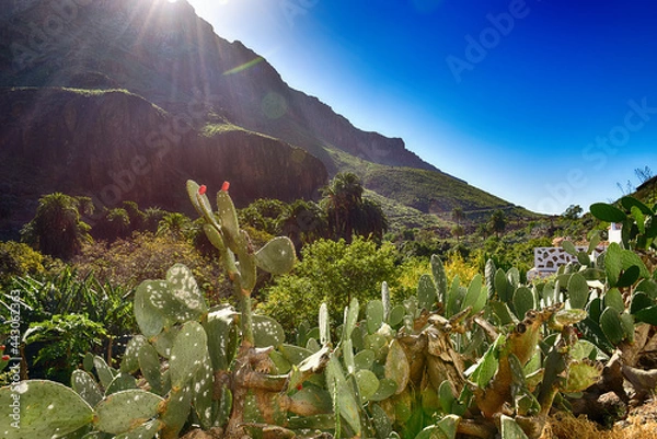 Obraz landscape in the mountains