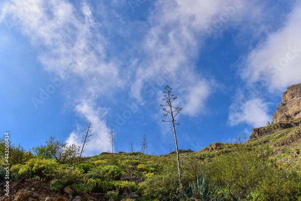 Obraz clouds over the mountains