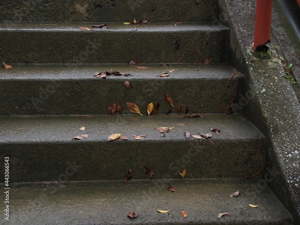 Obraz 雨に濡れた階段