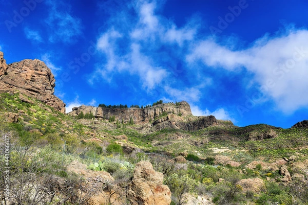 Obraz red rocks and sky