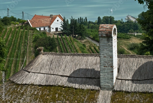 Obraz Hillside winery