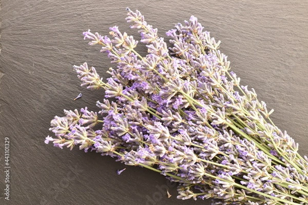 Fototapeta A bouquet of fragrant lavender on a slate board, close-up, top view.
