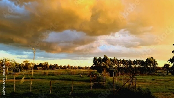 Obraz sunset over the field