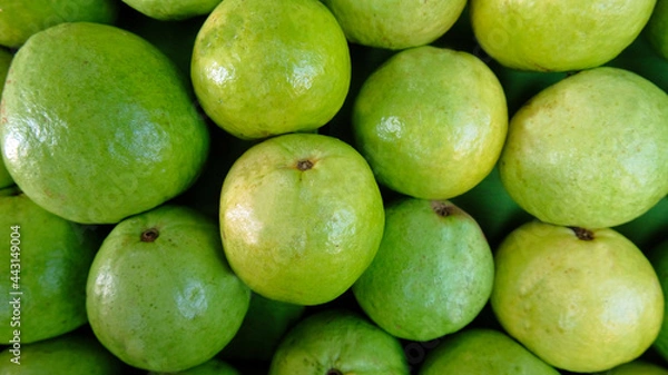Fototapeta Guava - Large amounts of guava fruit, fresh guava fruit, guava fruit in a basket