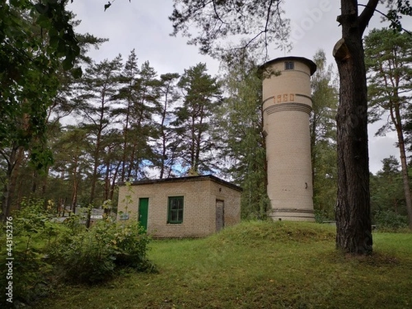 Obraz summer vacation in Naroch Belarus