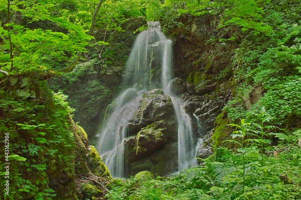 Obraz 日本の滝（山形県長井市の三階滝）
