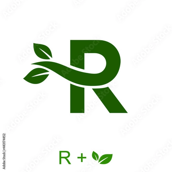 Fototapeta Letter R with a leaf concept. Very suitable in various natural business purposes also for icon, symbol, logo and many more.