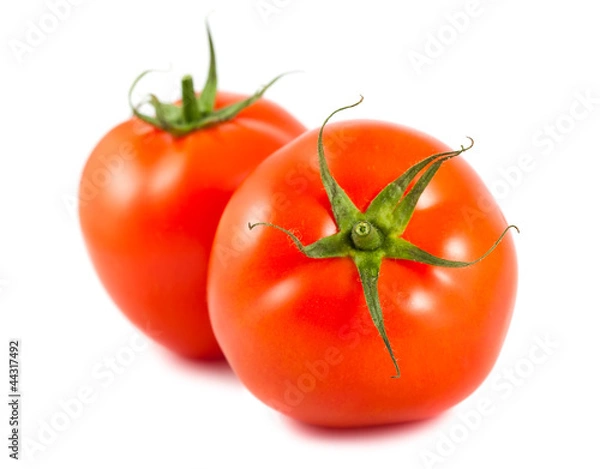 Obraz Two red tomatoes