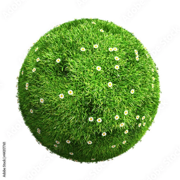 Obraz 3d grass ball with flowers