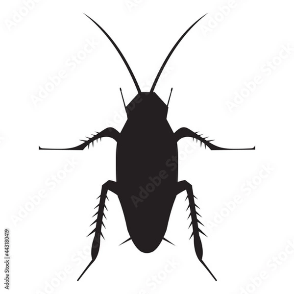 Obraz cockroach icon vector illustration sign