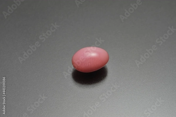 Obraz コンクパール（Conch Pearl）