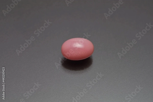 Obraz コンクパール（Conch Pearl）