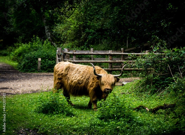 Obraz Is there anybody there?