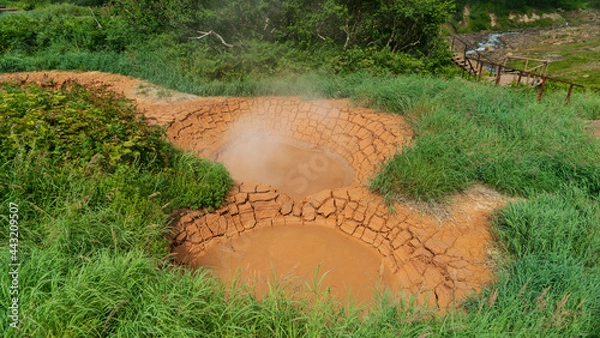 Fototapeta Kamchatka. twin mud cauldrons in the valley of geysers