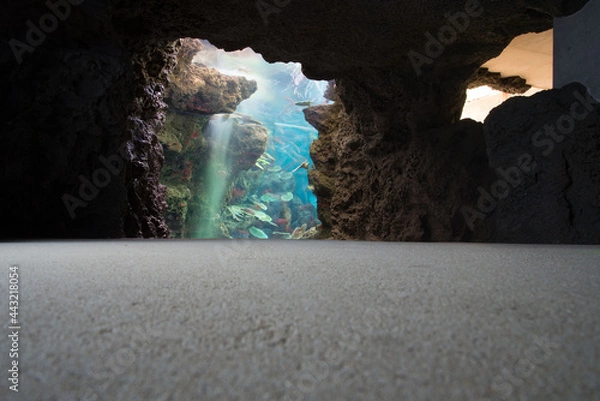 Obraz 海、洞窟、深海、サマータイム