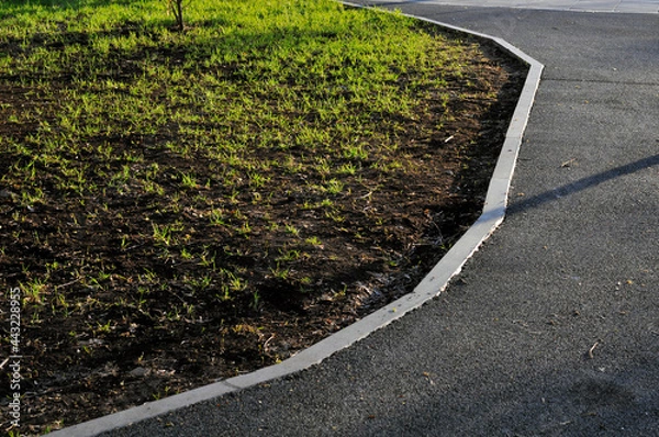 Obraz Lawn with grass and paved path