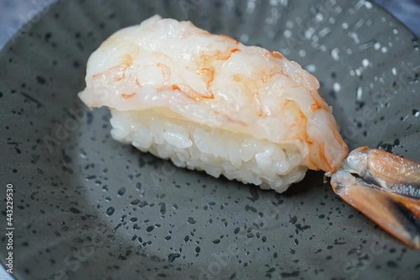 Obraz 寿司 / エビ