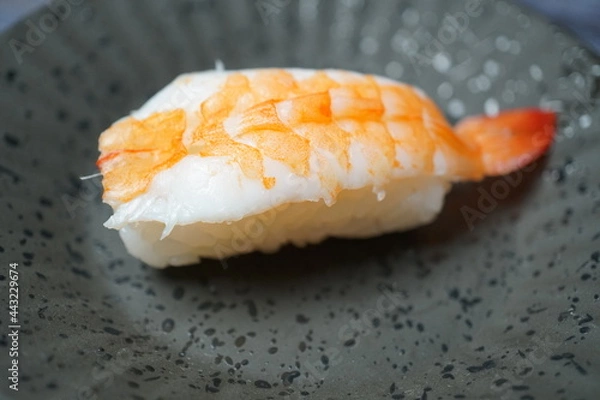 Obraz 寿司 / 甘エビ