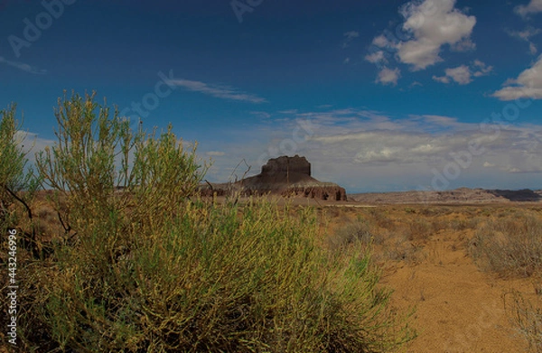 Obraz Goblin Valley State Park, Green River, Utah