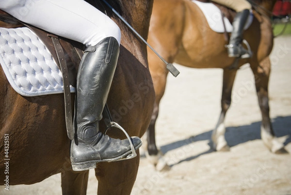 Obraz Hunt seat riding