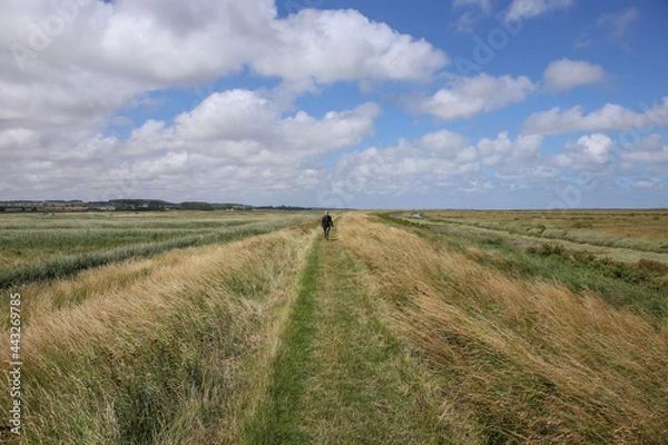 Obraz Norfolk Coast Path