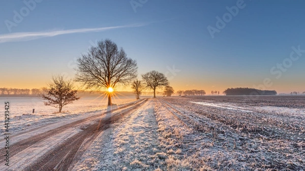 Fototapeta Morning winter scene, sunrise on winter morning ligth snow on field road track fading to horizon sun rays through tree branches blue sky with orange glow warm and cold