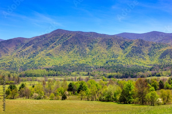 Obraz Cades cove ridge