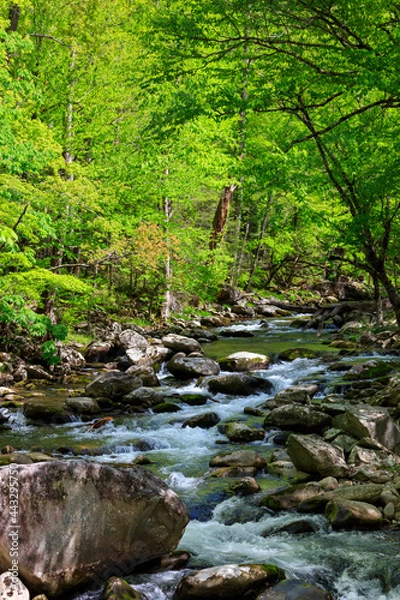 Obraz Mountain stream