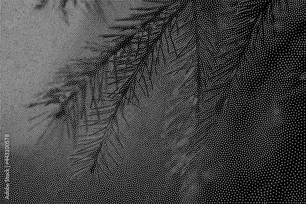 Fototapeta Stipple Technique Abstract Background with Natural Elements