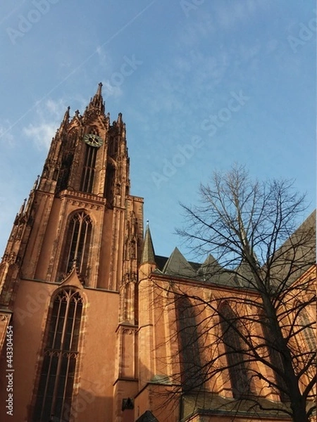 Obraz Catedral  e o céu azul
