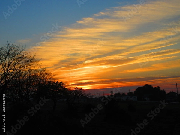 Fototapeta 夕焼け