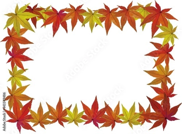 Obraz 楓の葉の長方形フレーム