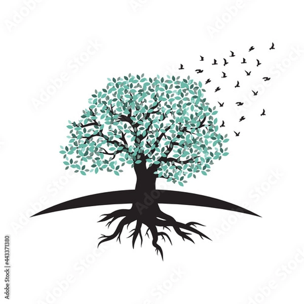 Fototapeta tree with roots and birds