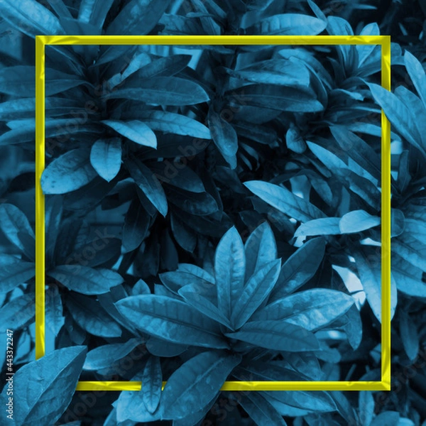 Obraz background floral