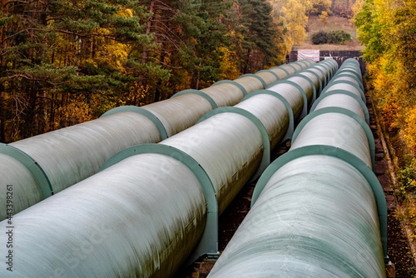 Fototapeta Pipeline of a pumped storage power plant surrounded by trees

