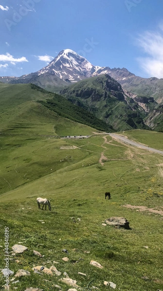 Fototapeta landscape with sheep
