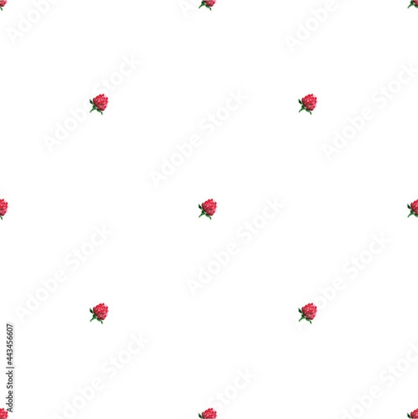 Fototapeta Trifolium pratense seamless pattern on white backdrop. Background illustration graphic design. Decorative print.