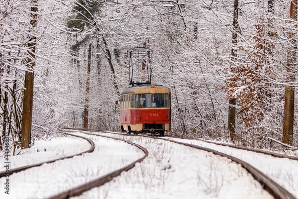 Fototapeta An old tram moving through a winter forest