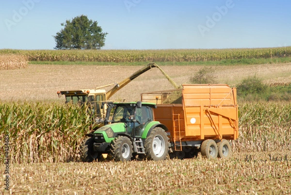 Obraz récolte du maïs pour l'ensilage