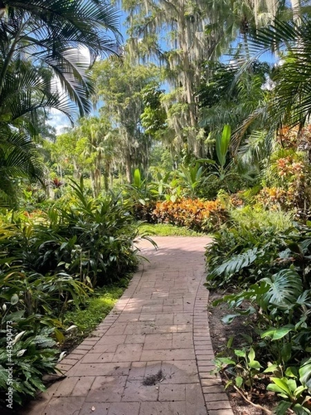 Obraz Tropical Garden